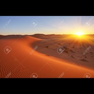 Meet your Posher, Chastity